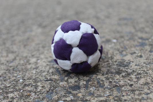Xtremity Pro professional footbag with a 32 panel construction in Purple/White