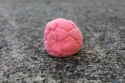 Xtremity Pro professional footbag with a 32 panel construction in Pink